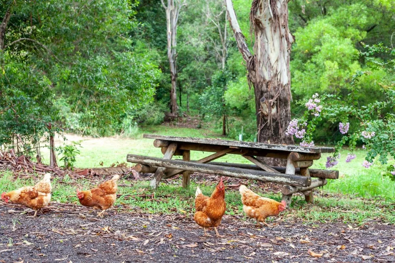 The Lodge Mapleton Falls Sunshine Coast Australia